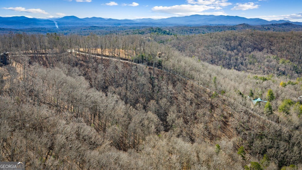 Lot 20 Raven Ridge Circle Property Photo 11