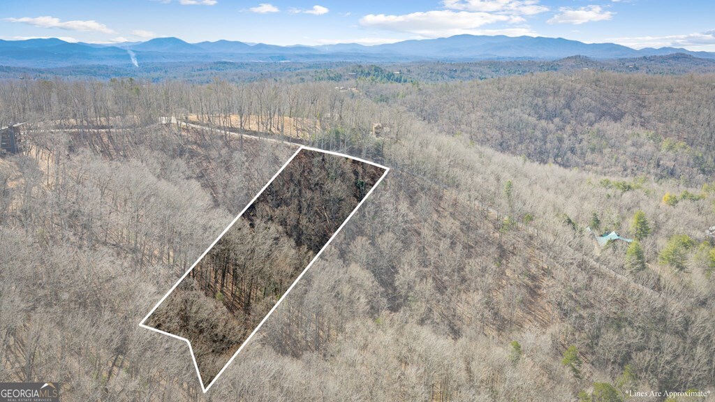 Lot 20 Raven Ridge Circle Property Photo 12
