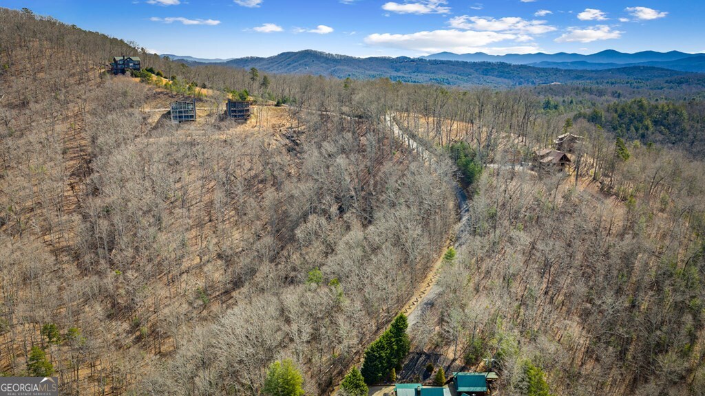 Lot 20 Raven Ridge Circle Property Photo 13