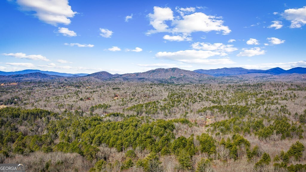 Lot 20 Raven Ridge Circle Property Photo 14