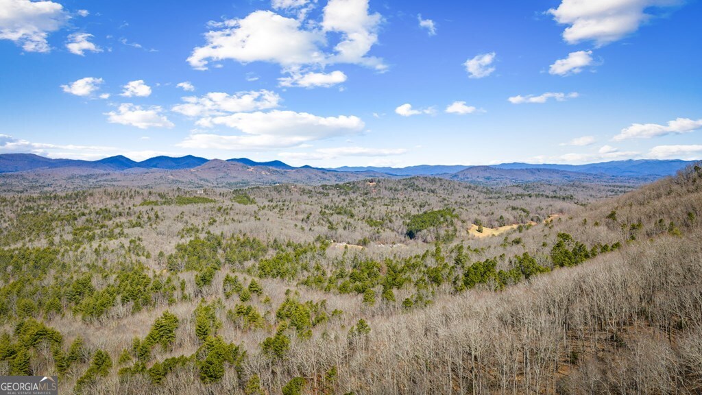 Lot 20 Raven Ridge Circle Property Photo 16