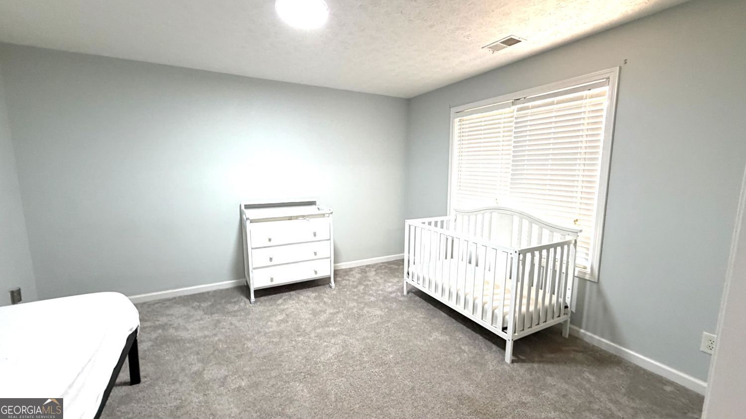 3070 Emden Trail Property Photo 26