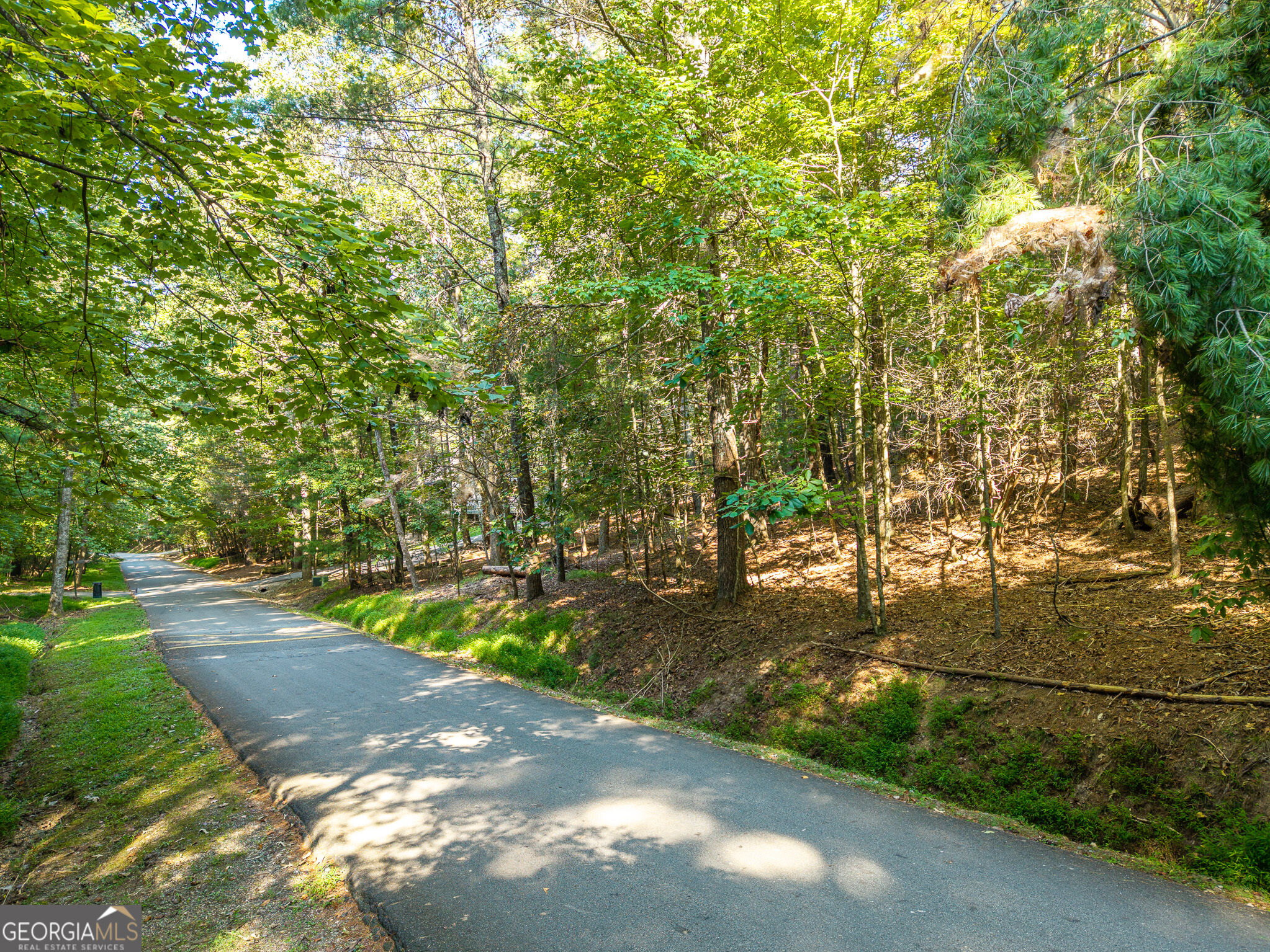 153 Blackberry Falls Drive Property Photo 25