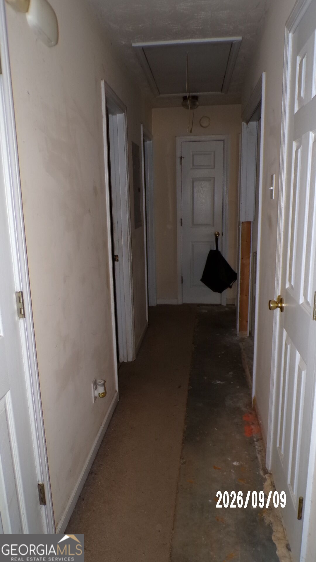 264 Griffith Street Property Photo 12