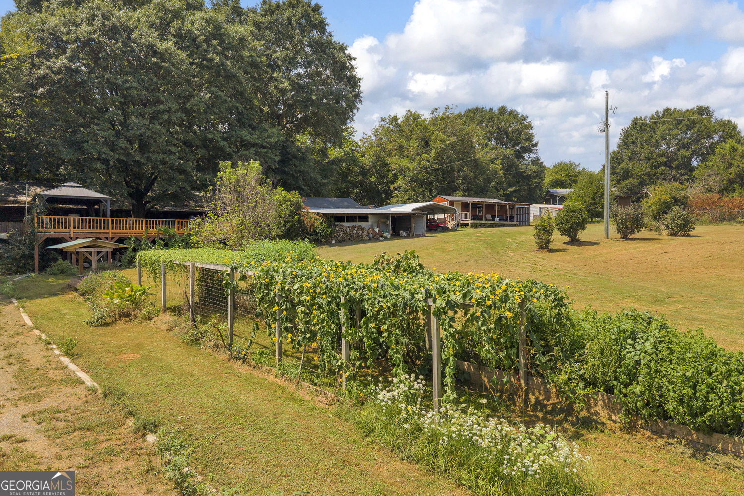 7668 Mud Creek Road Property Photo 61