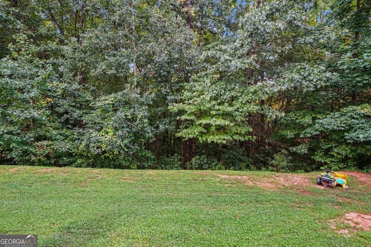 4455 Watson Ridge Drive Property Photo 34