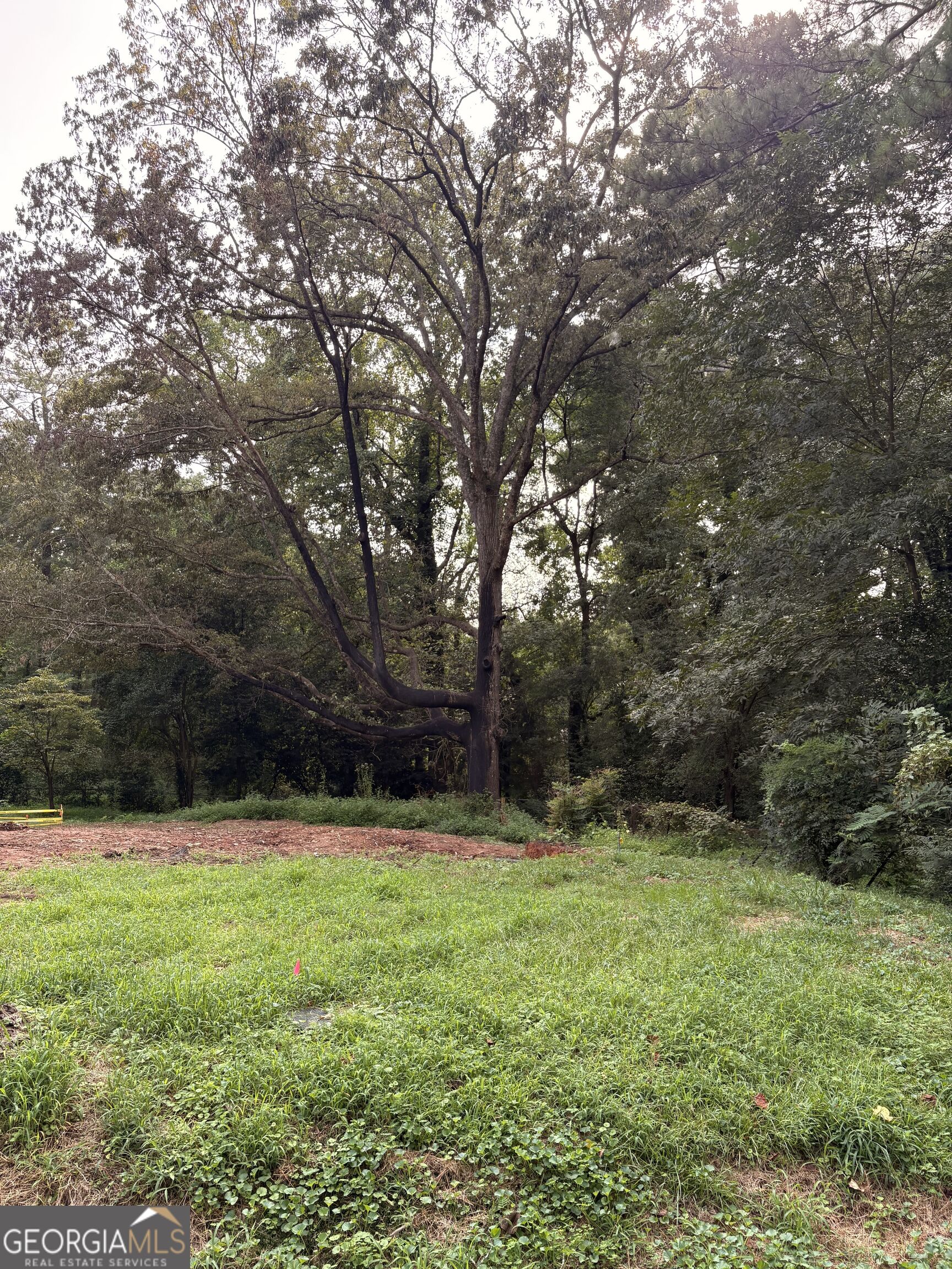7821 Adamson Road Property Photo 4