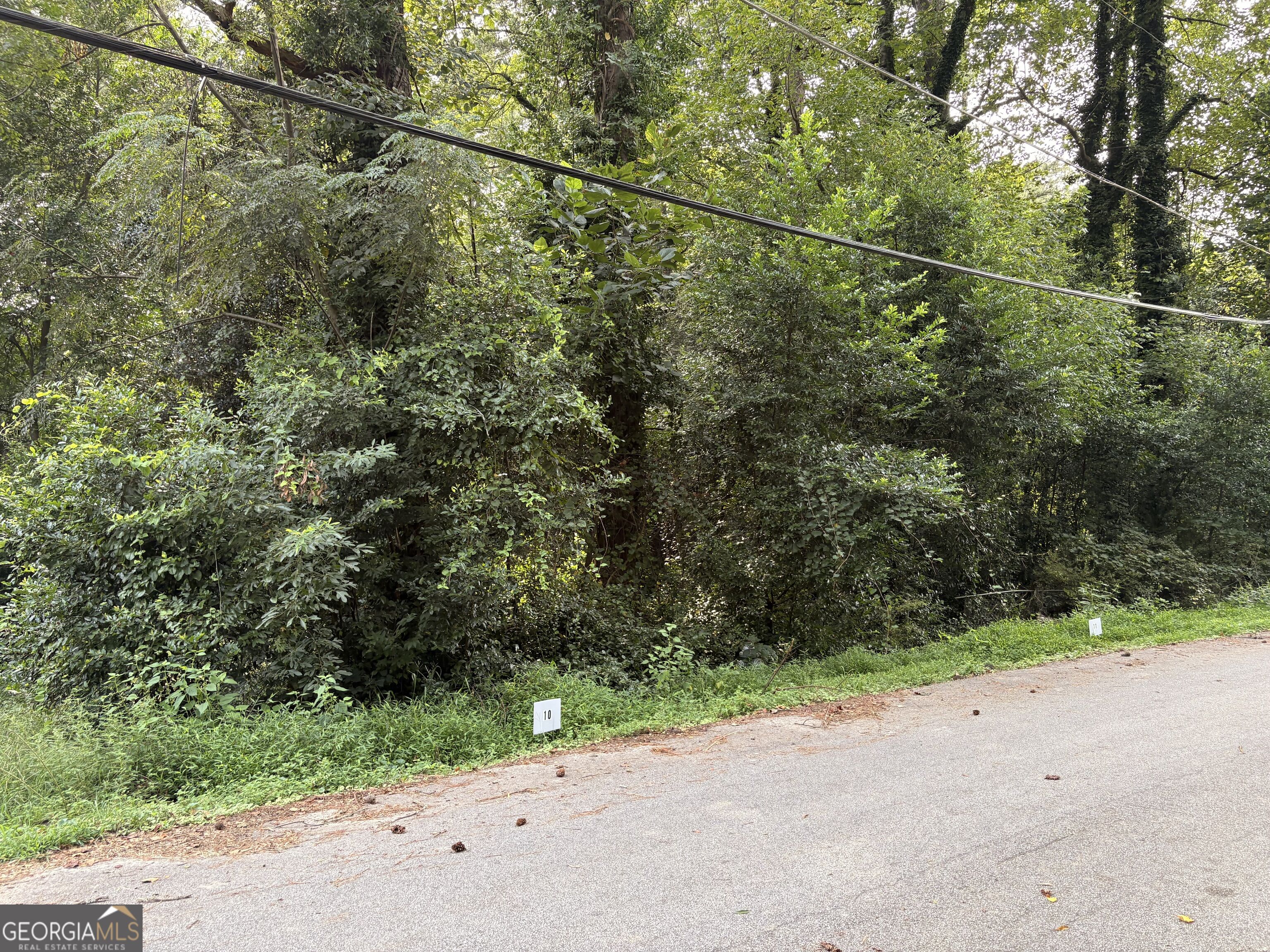Lot 10 Adamson Road Property Photo 3
