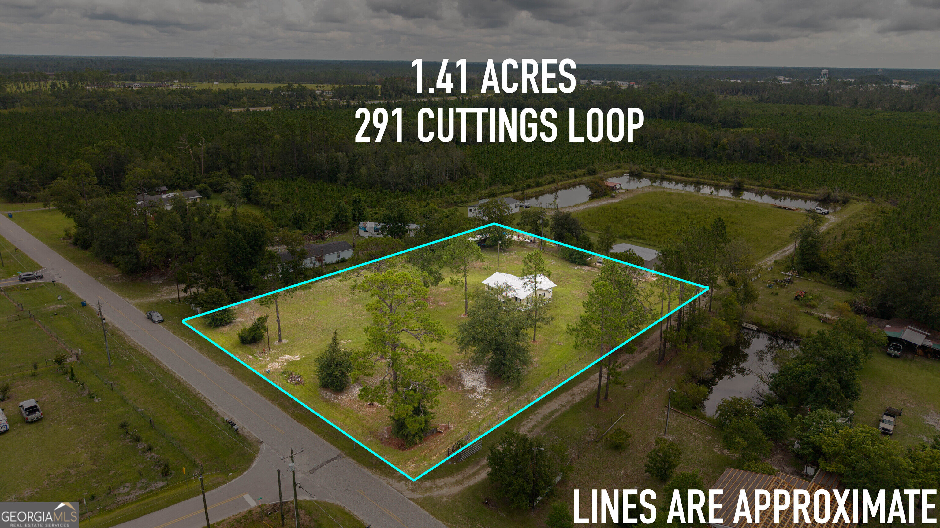 291 Cuttings Loop Road Property Photo 3