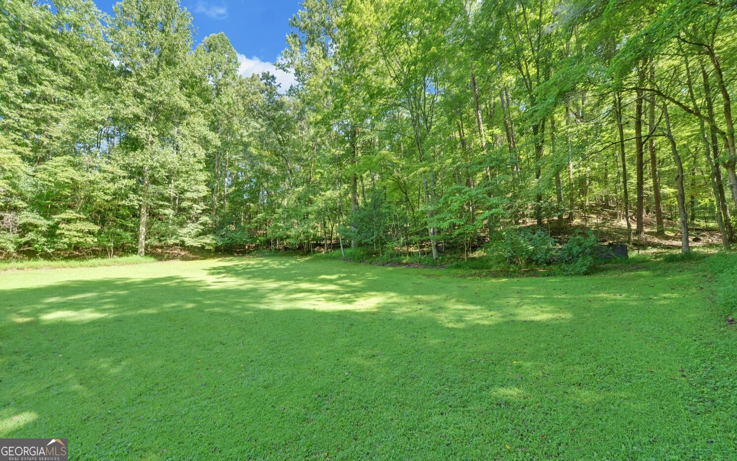 1374 Lucius Road Property Photo 43