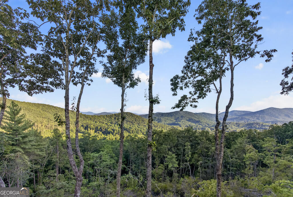 193 7 Figure Ridge Property Photo 89