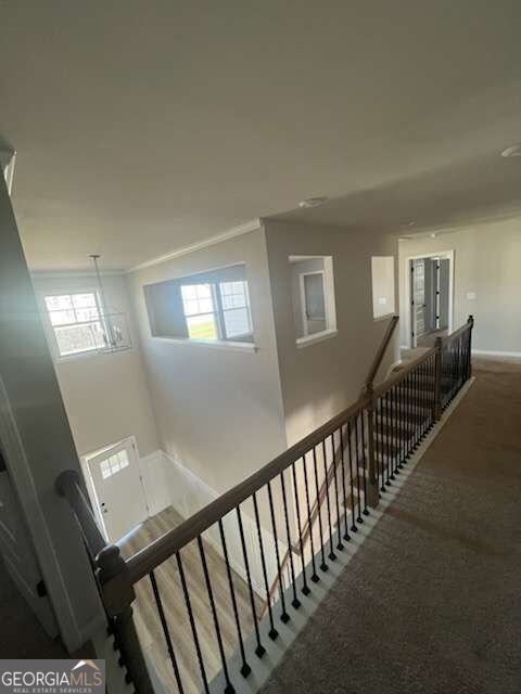 1734 Cadence Street Property Photo 10