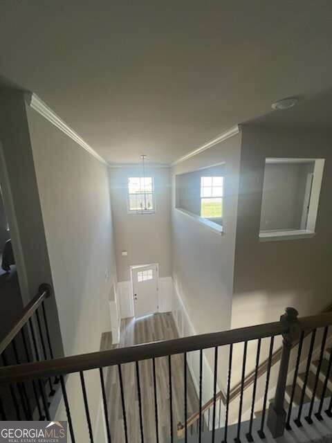 1734 Cadence Street Property Photo 11