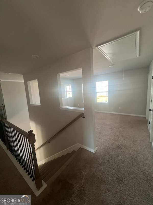 1734 Cadence Street Property Photo 12