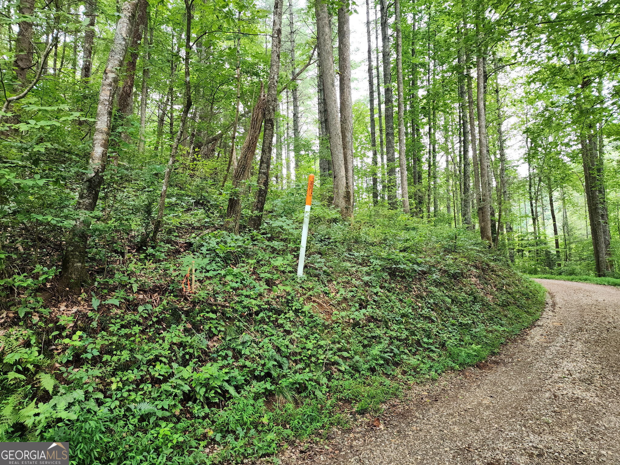 Tract 2b Poplar Cove Trail Property Photo 6
