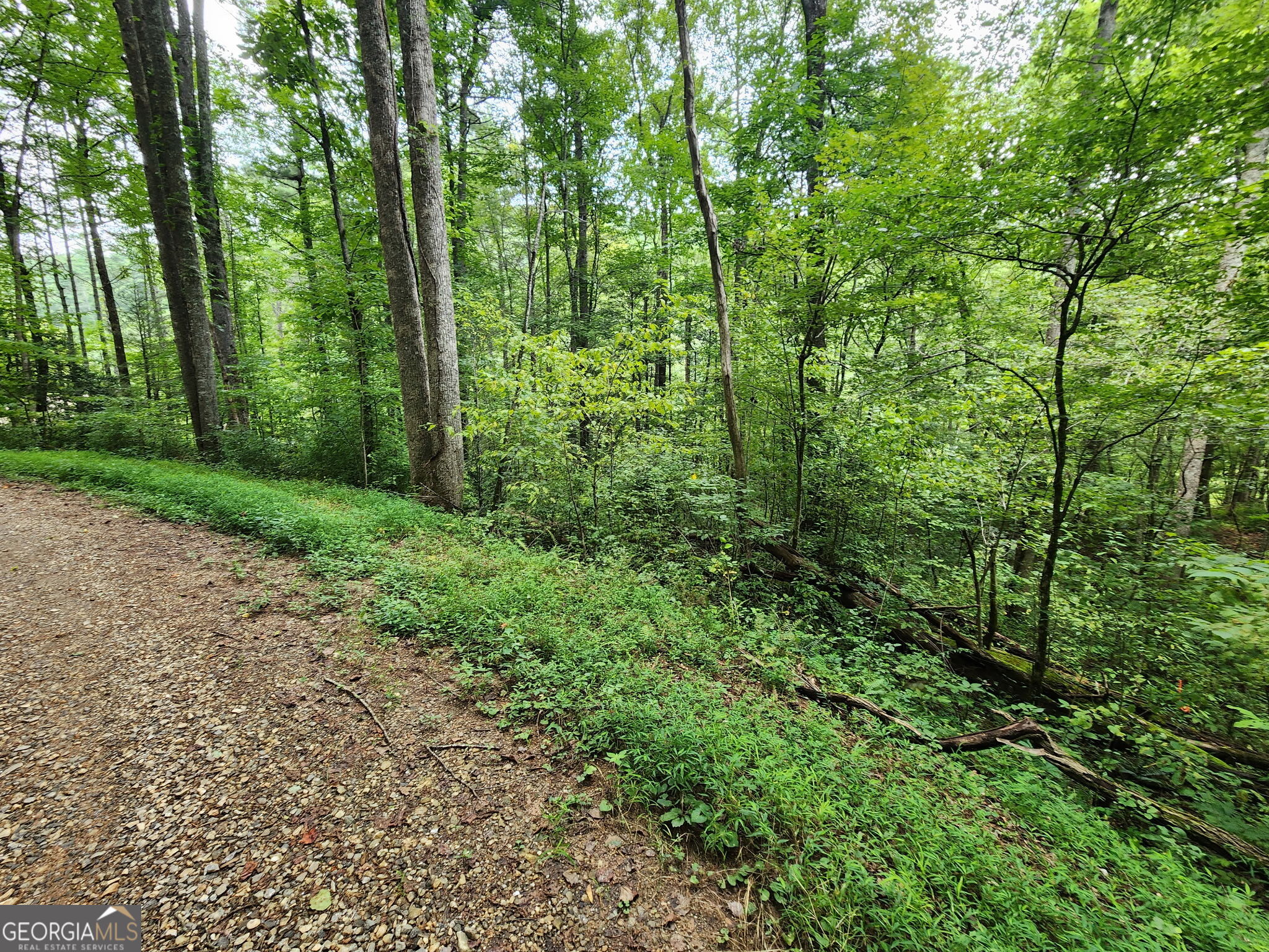 Tract 2b Poplar Cove Trail Property Photo 10