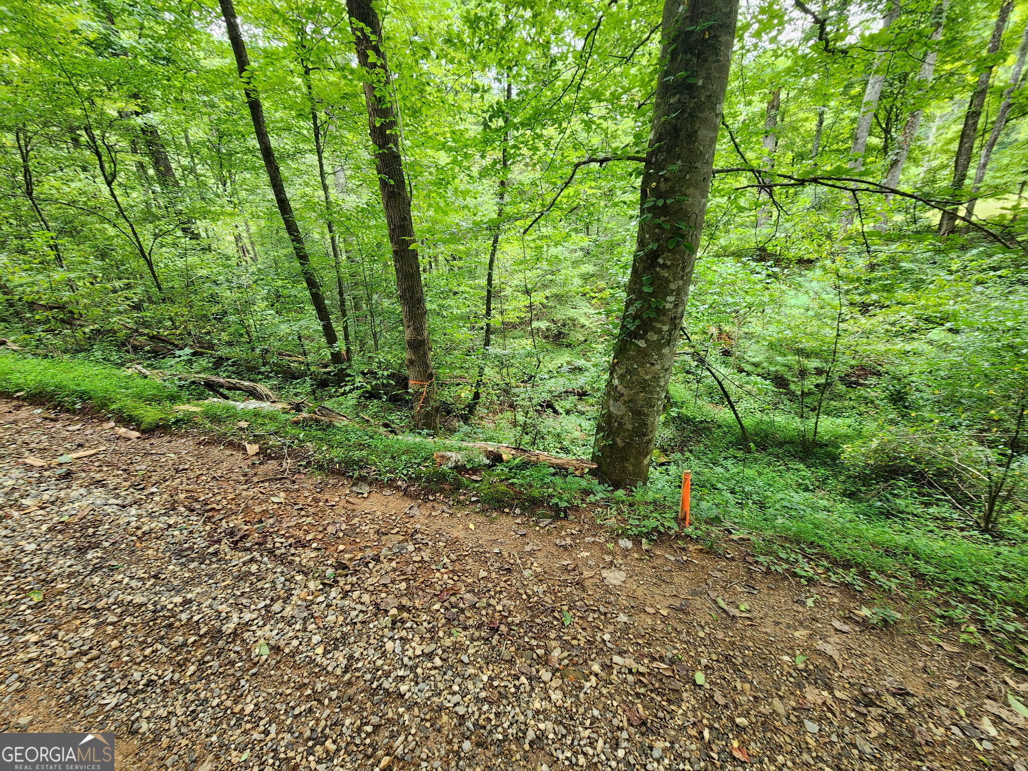 Tract 2a Poplar Cove Trail Property Photo 2
