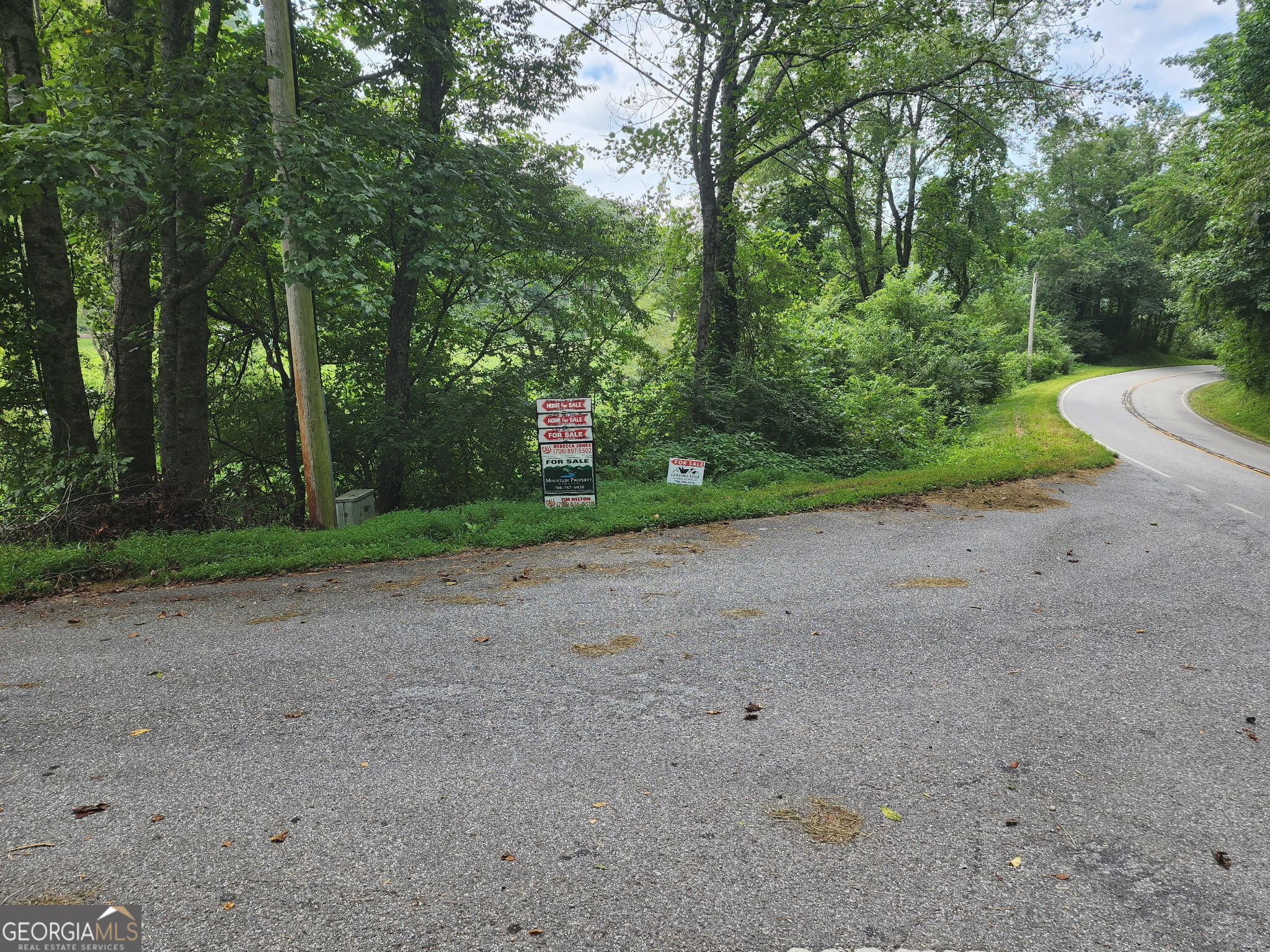 Tract 2a Poplar Cove Trail Property Photo 3