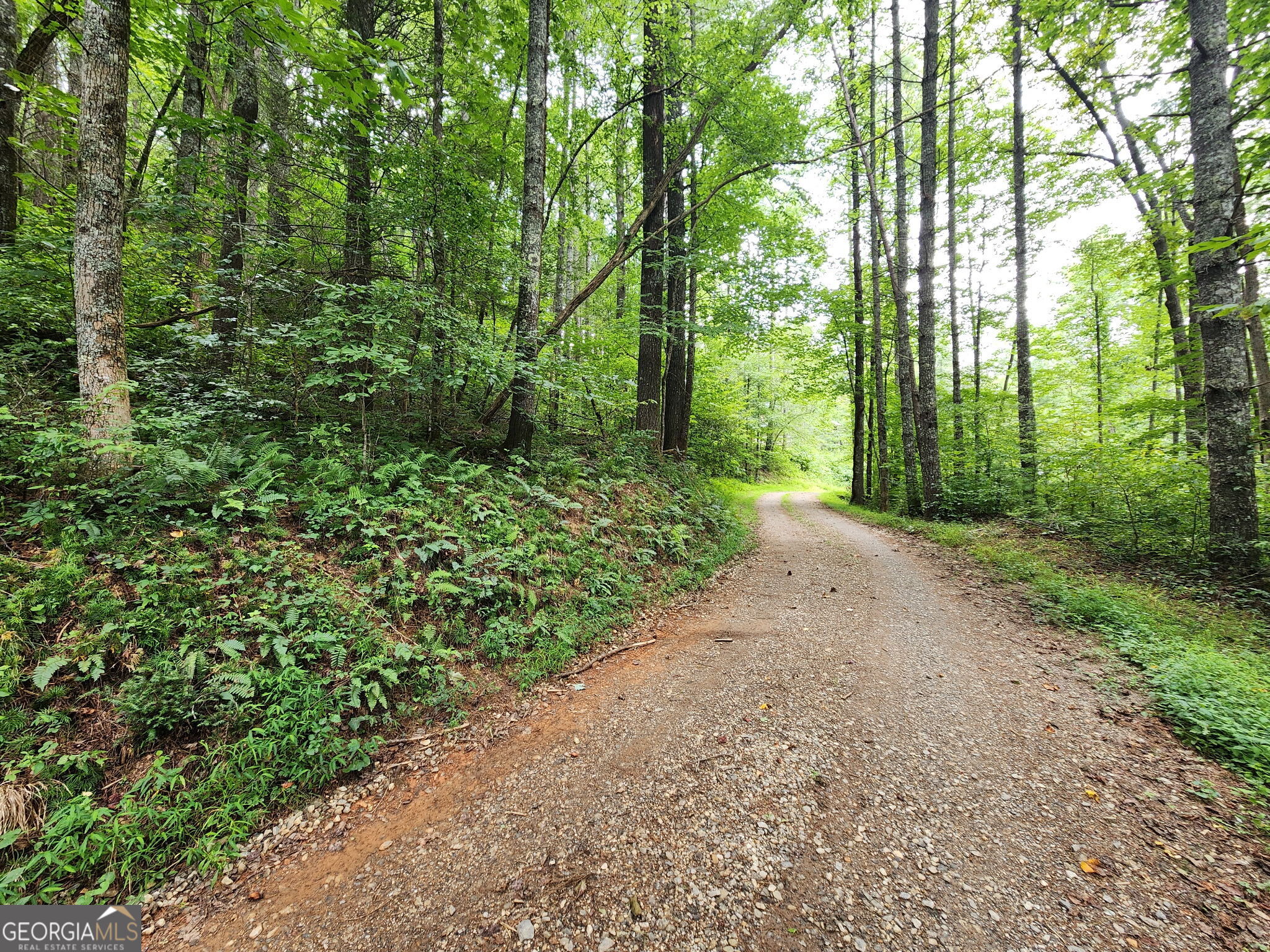 Tract 2a Poplar Cove Trail Property Photo 14
