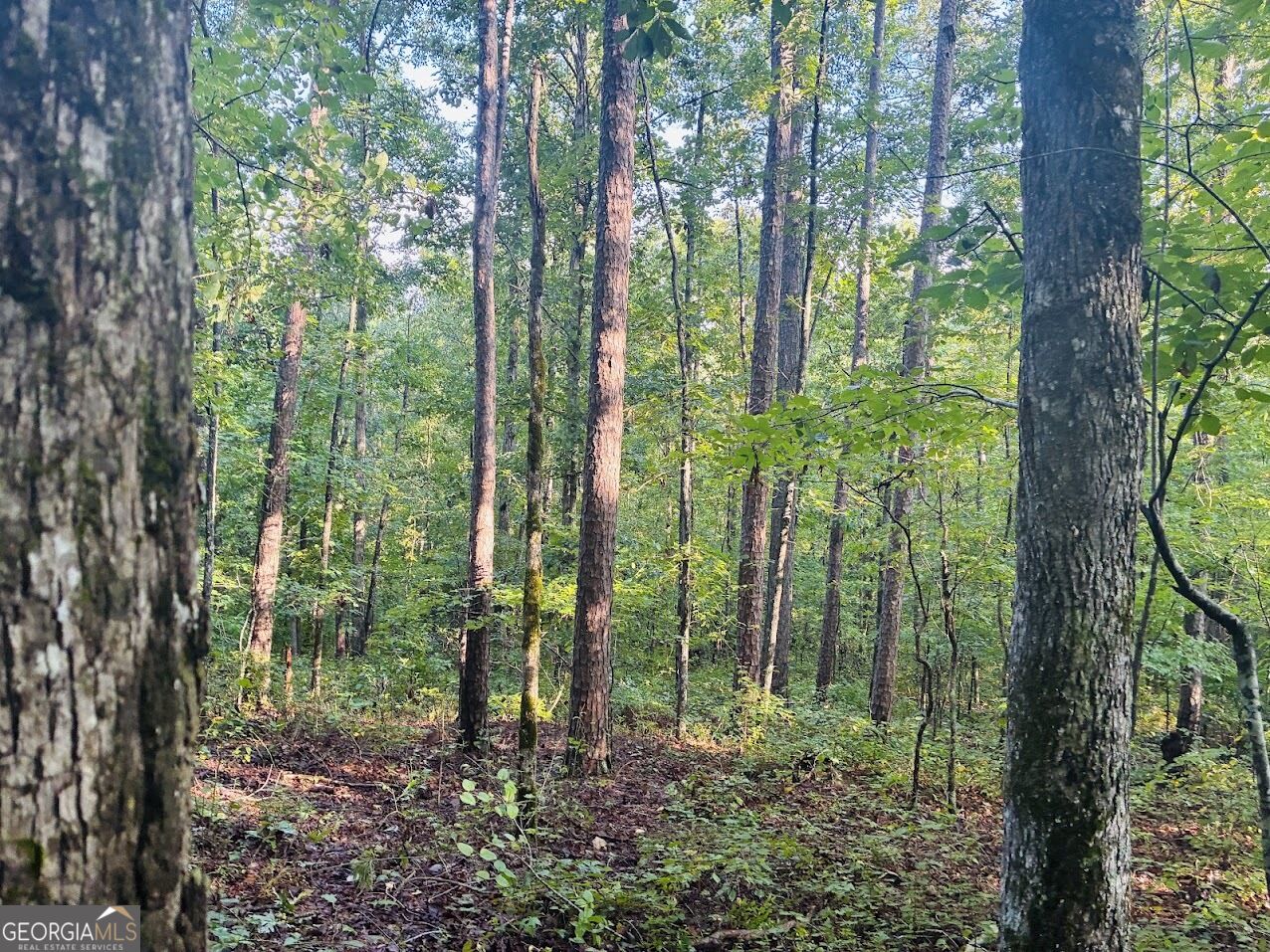 508 Kelley Creek Road Property Photo 21