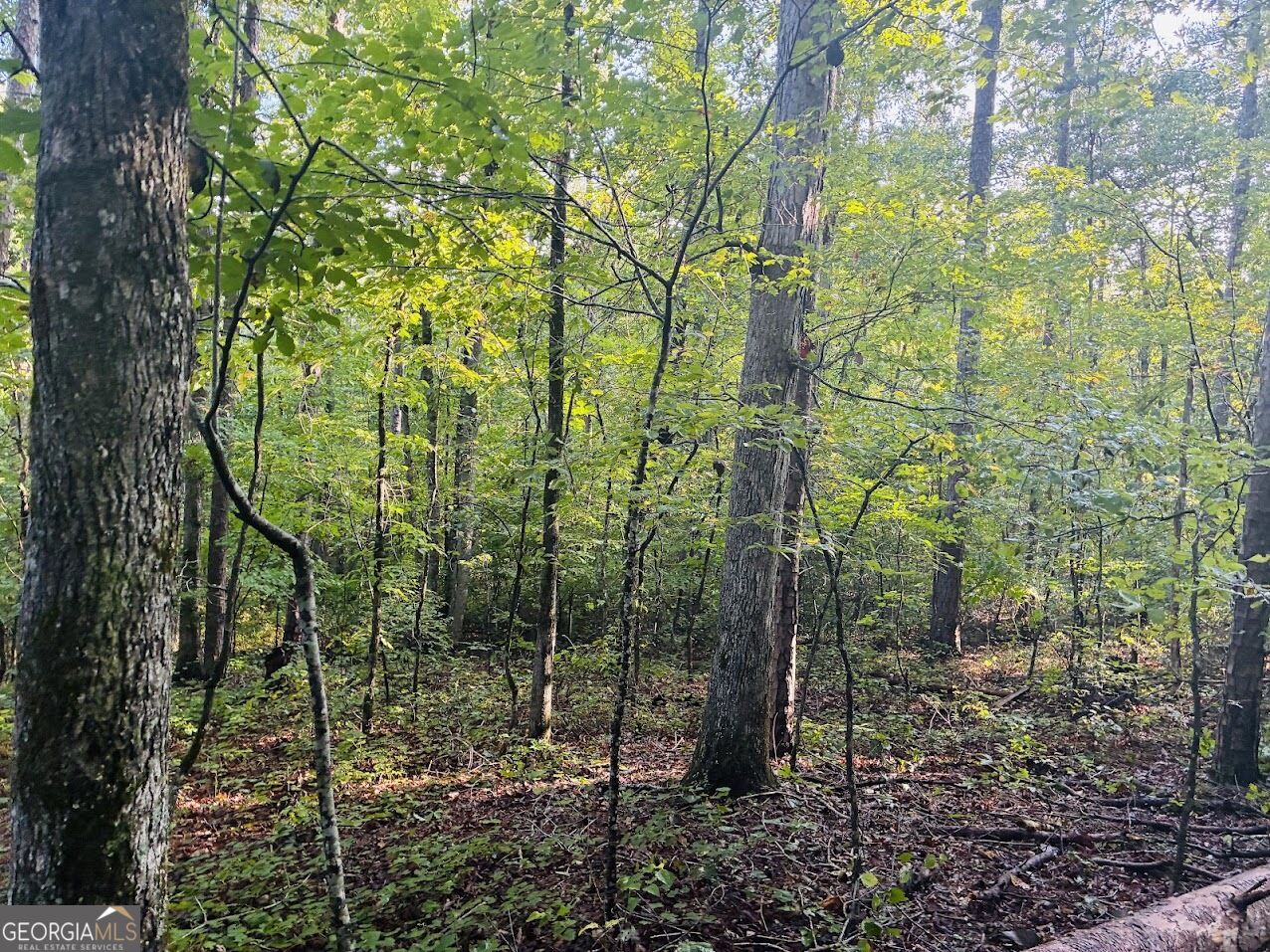 508 Kelley Creek Road Property Photo 22