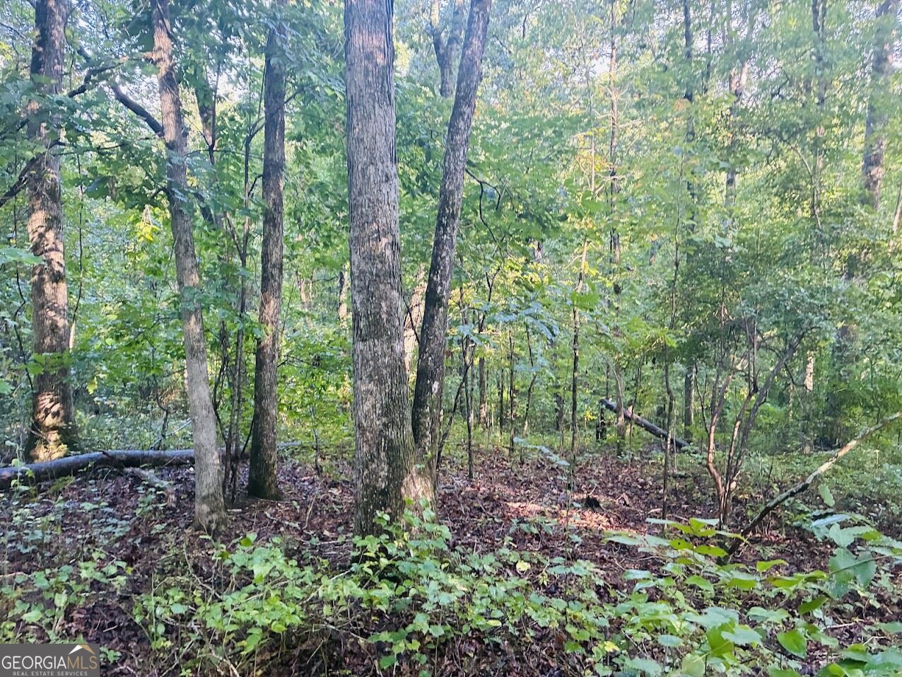508 Kelley Creek Road Property Photo 23