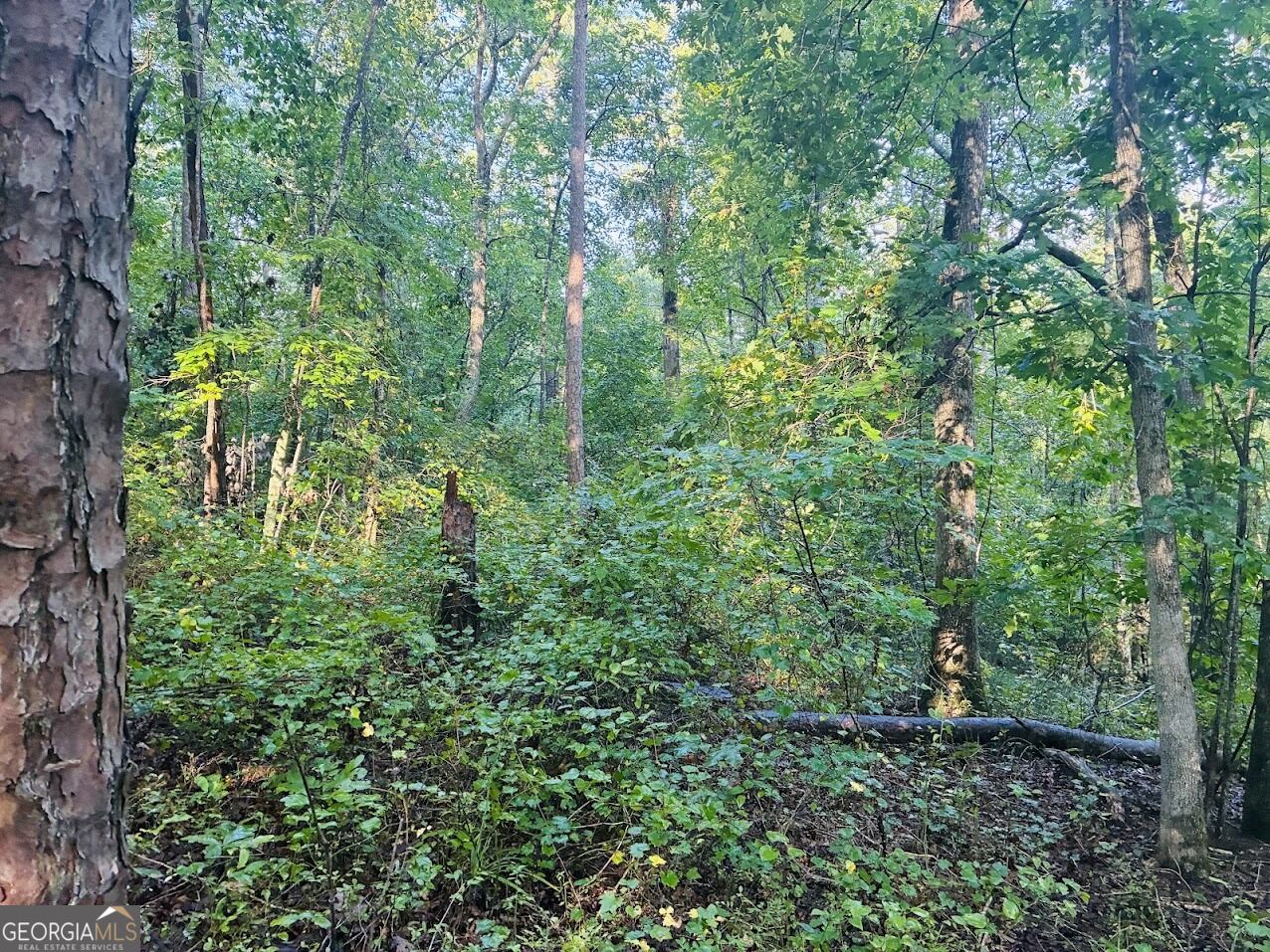 508 Kelley Creek Road Property Photo 24
