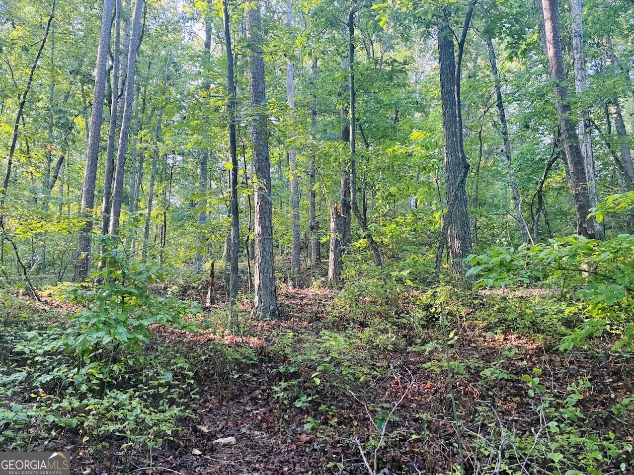 508 Kelley Creek Road Property Photo 25