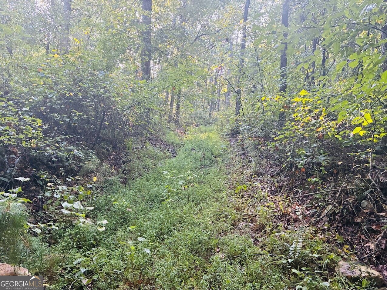 508 Kelley Creek Road Property Photo 26