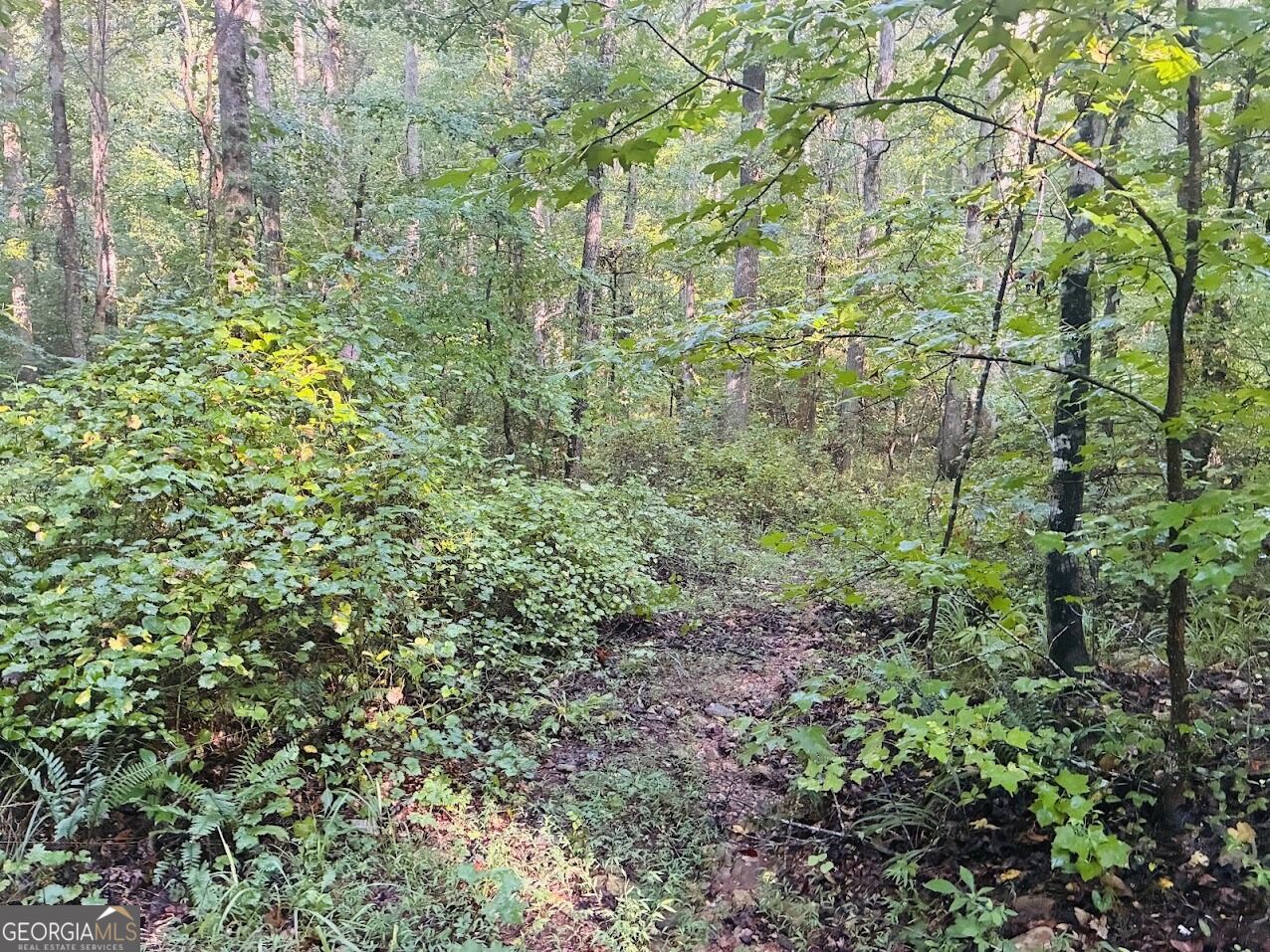 508 Kelley Creek Road Property Photo 27