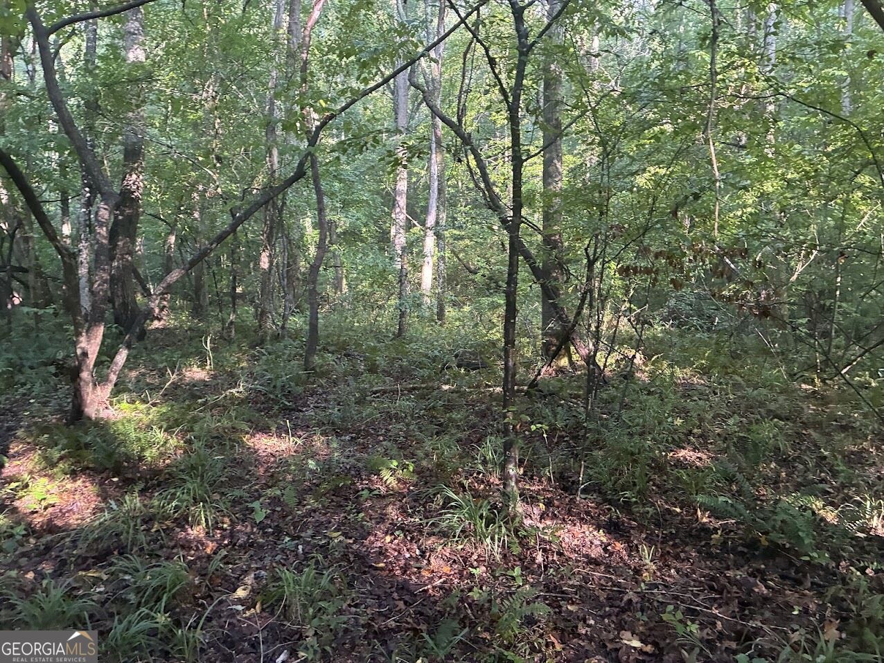 508 Kelley Creek Road Property Photo 32
