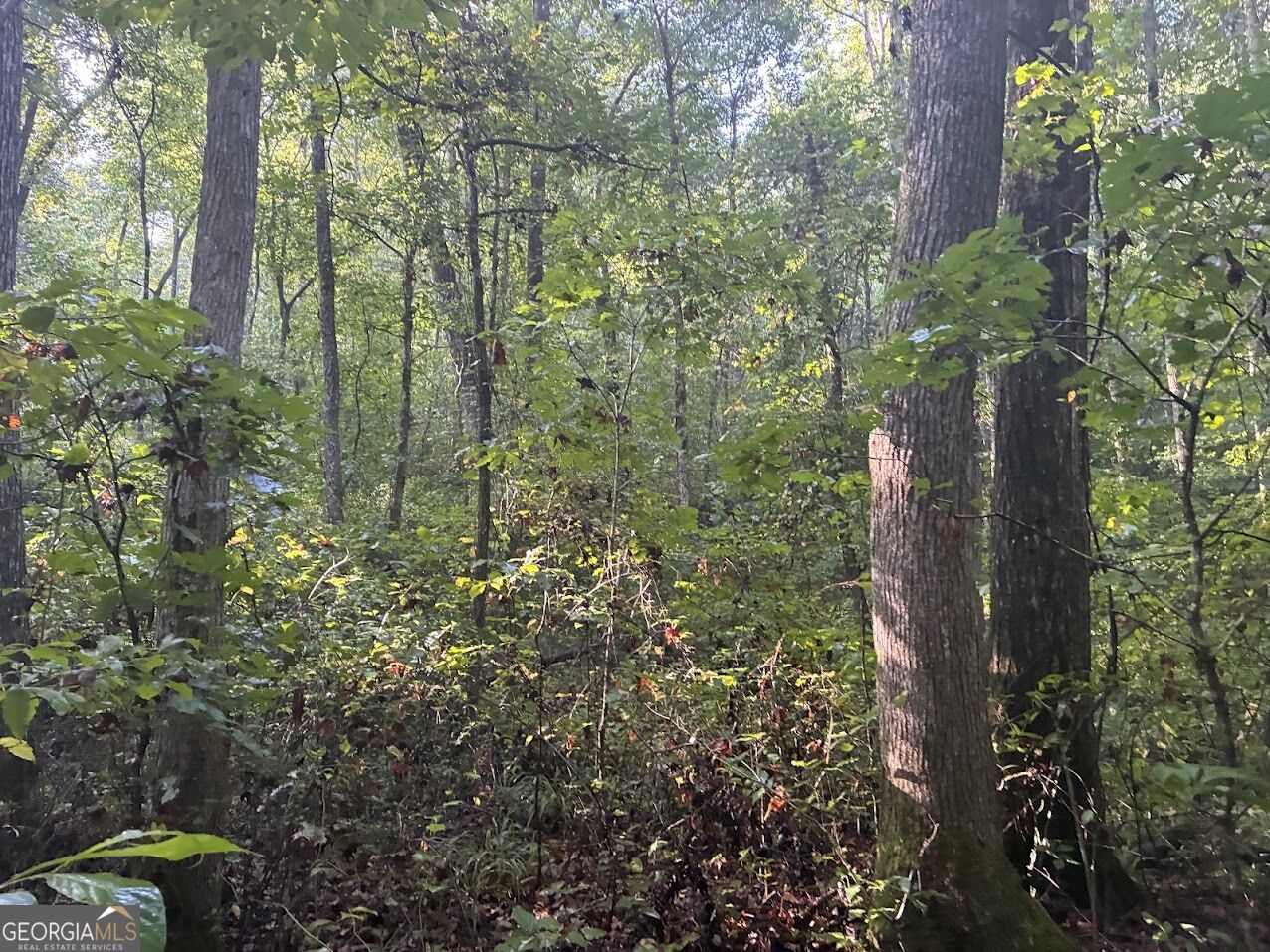 508 Kelley Creek Road Property Photo 33