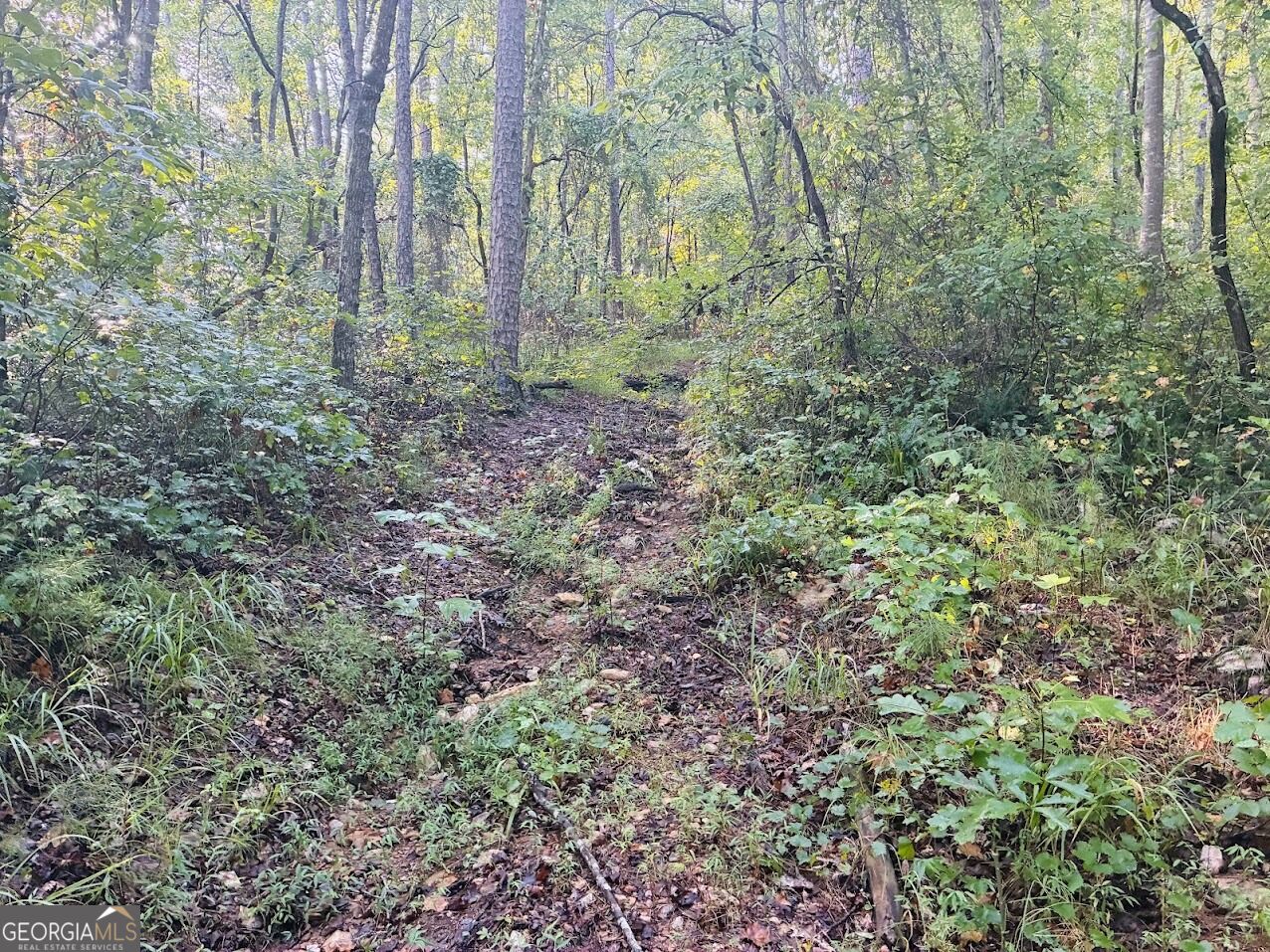 508 Kelley Creek Road Property Photo 34