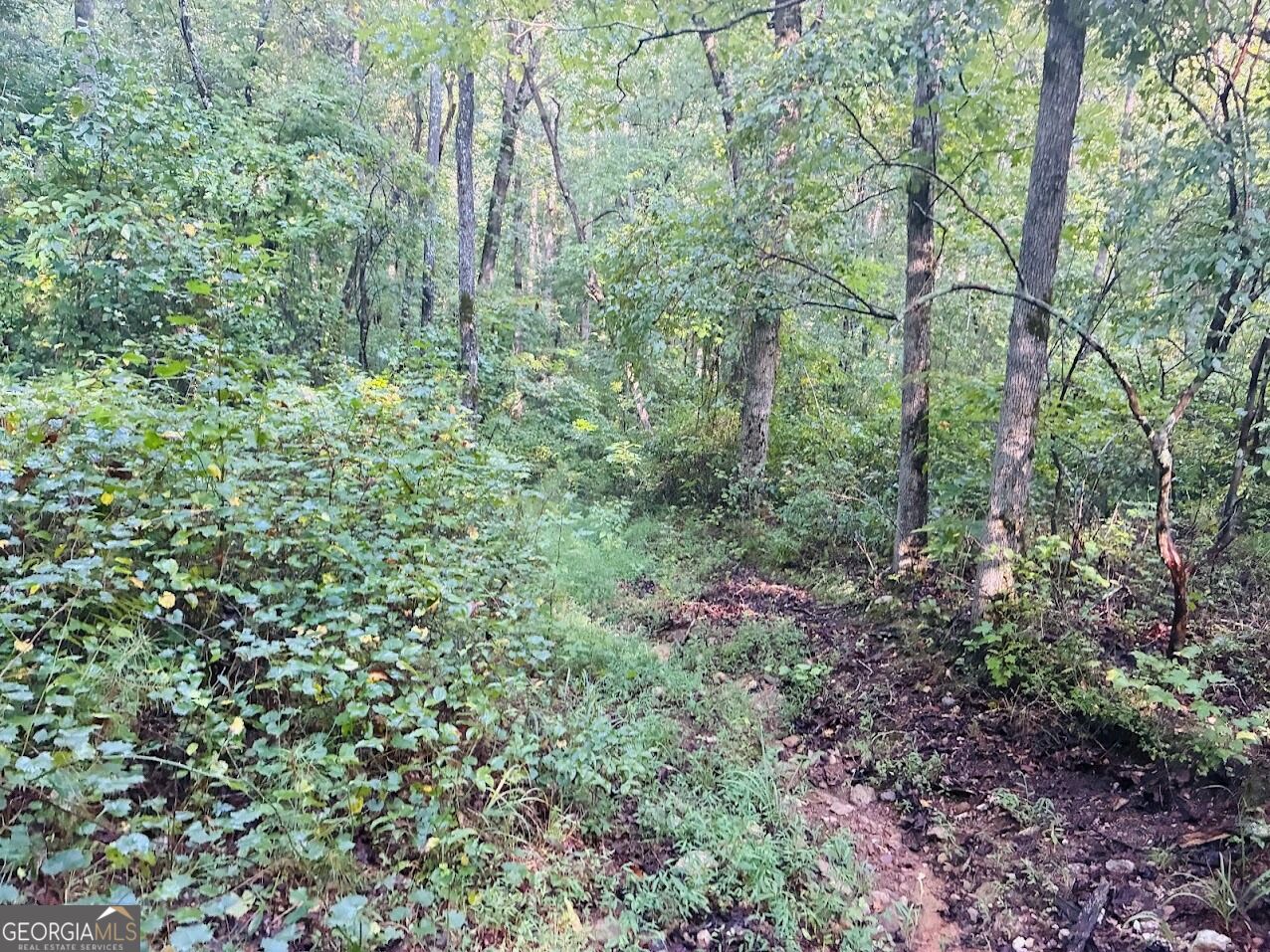 508 Kelley Creek Road Property Photo 35