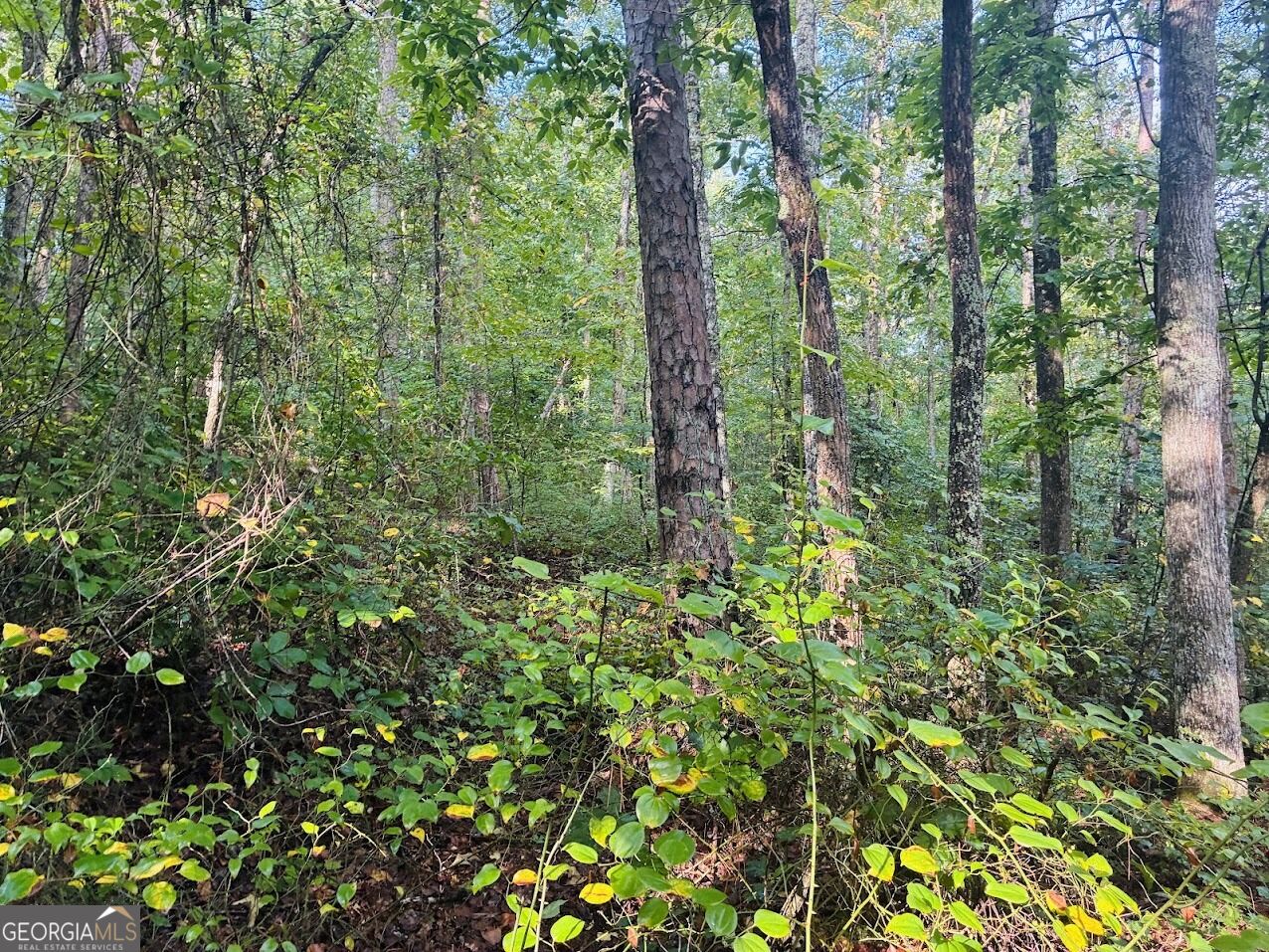 508 Kelley Creek Road Property Photo 36