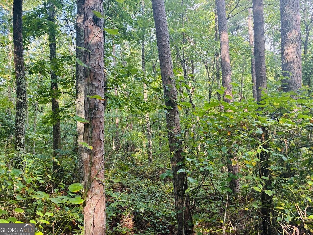 508 Kelley Creek Road Property Photo 37