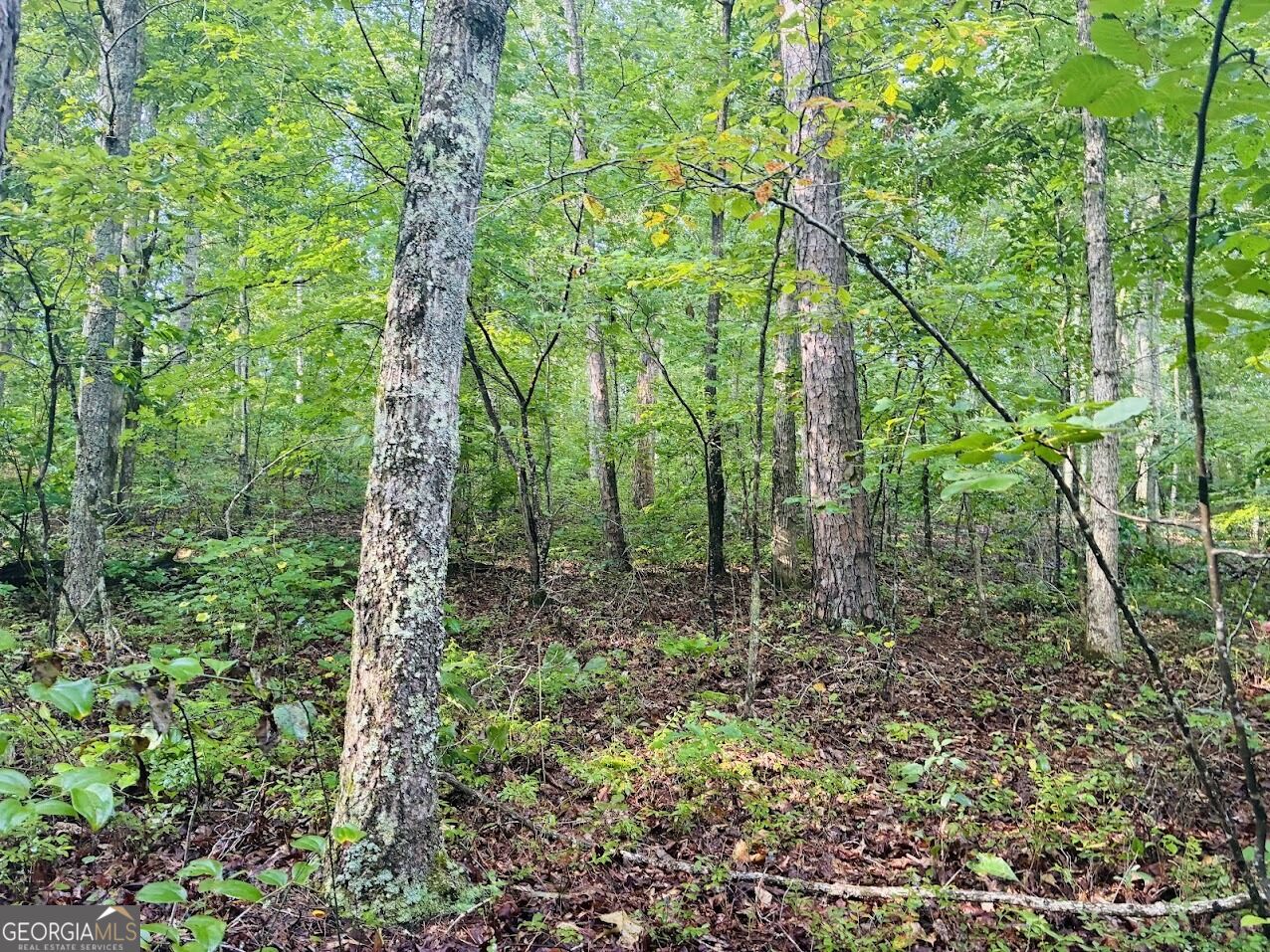 508 Kelley Creek Road Property Photo 38