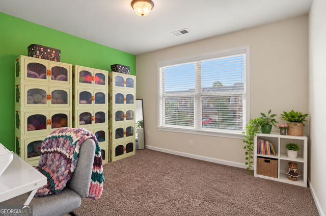 3123 Haynes Park Drive Property Photo 24