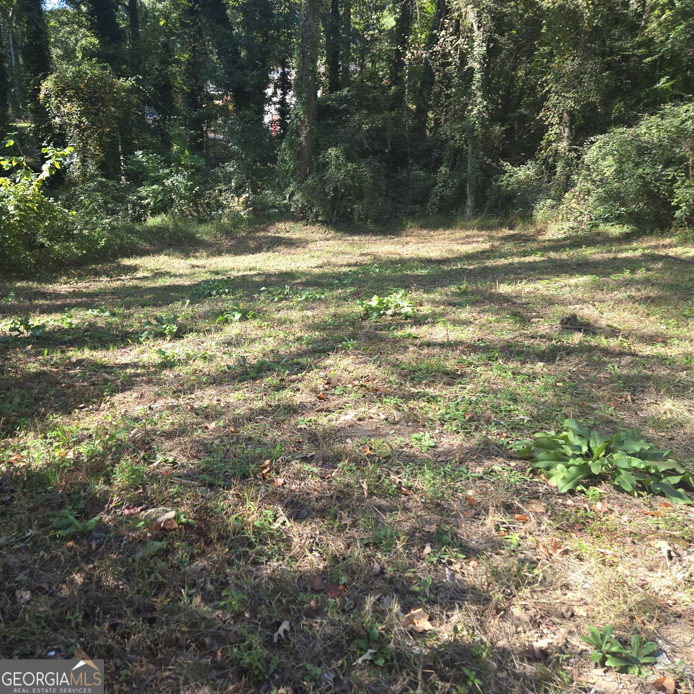 172 Polar Rock Road Sw Property Photo 5