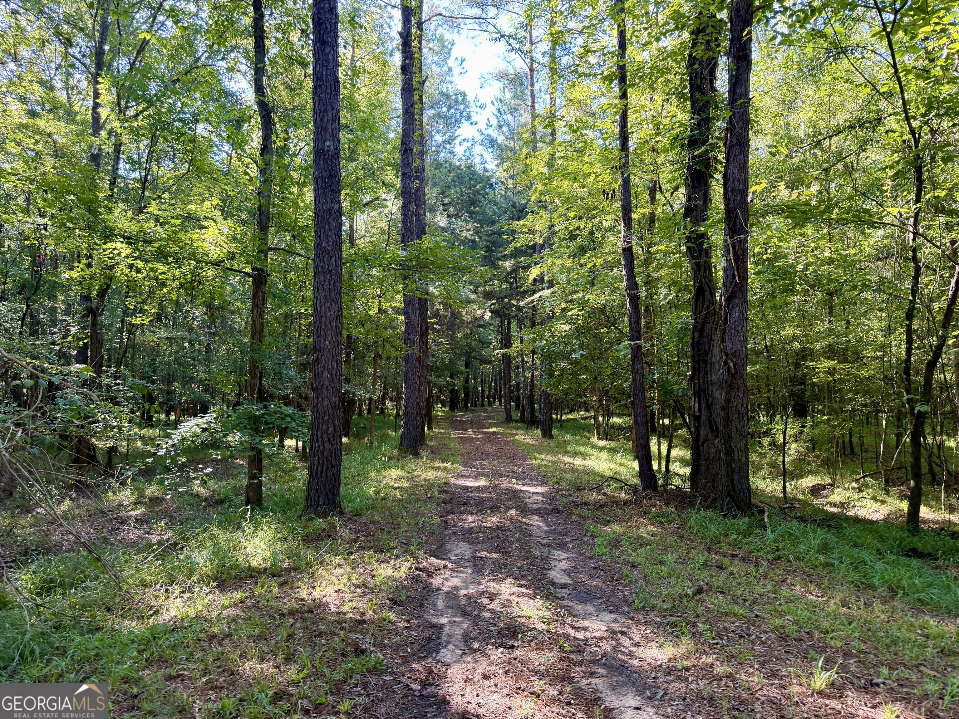 239 Coleman Landing Road Property Photo 8