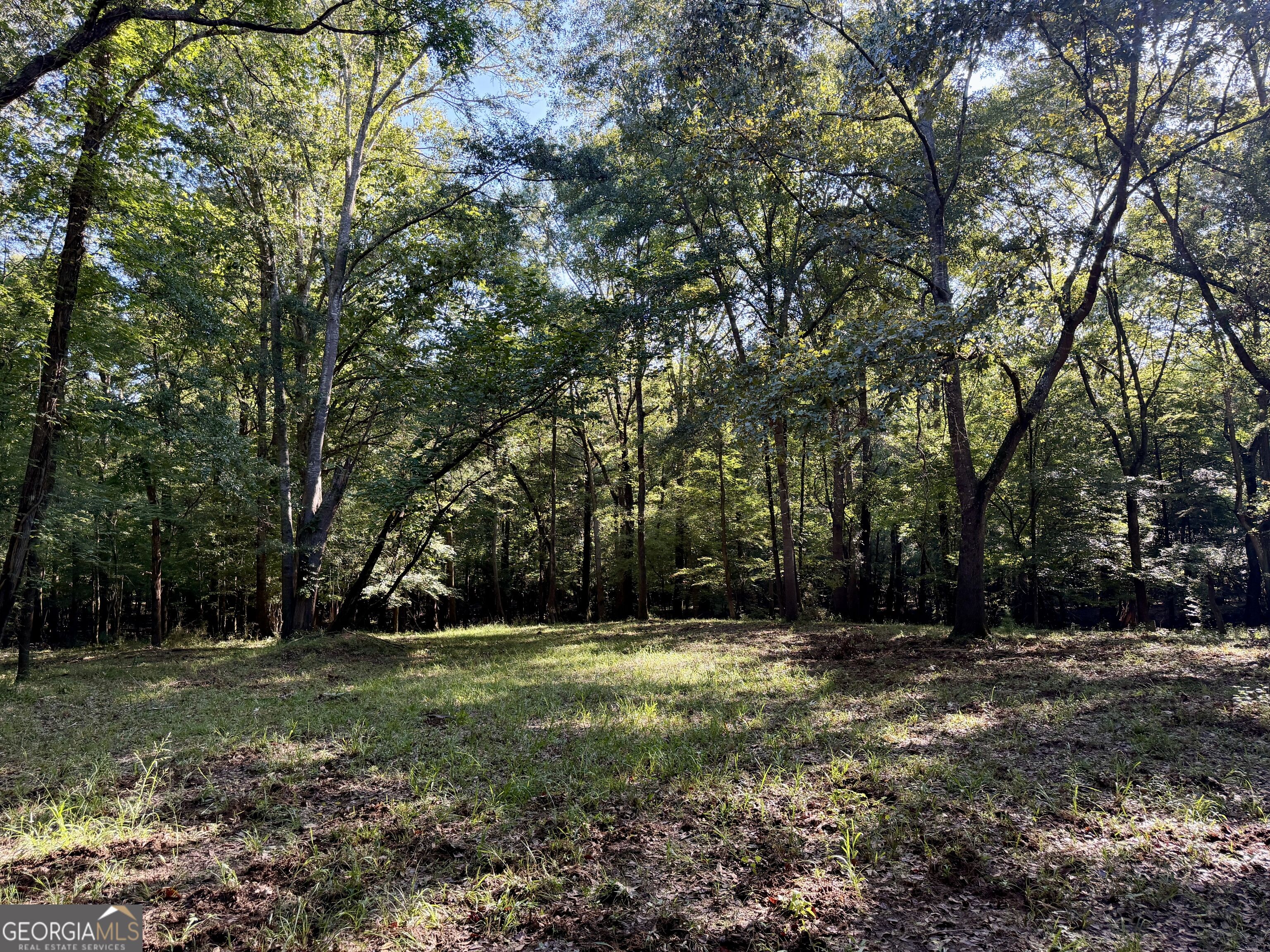 239 Coleman Landing Road Property Photo 11