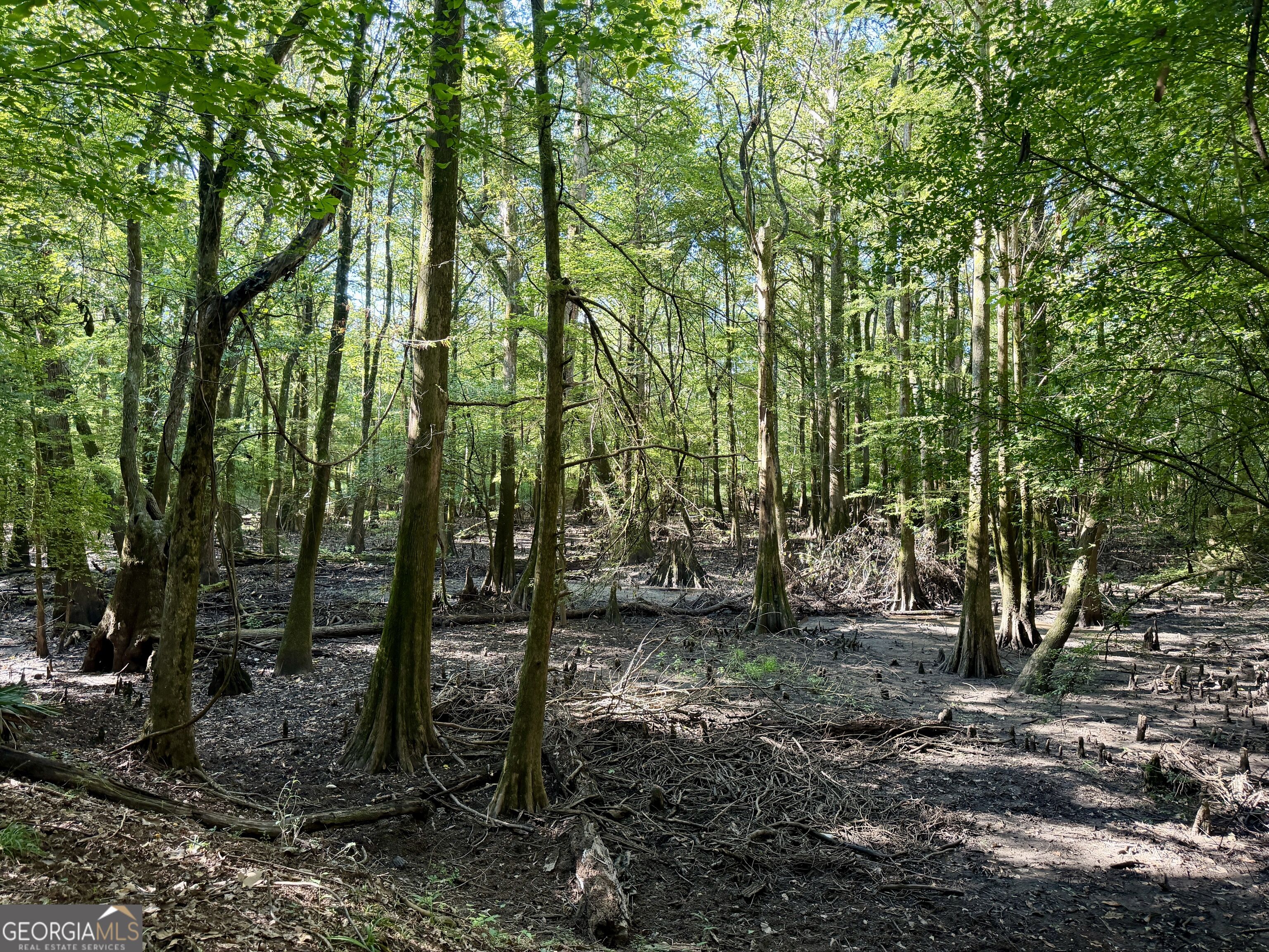 239 Coleman Landing Road Property Photo 31