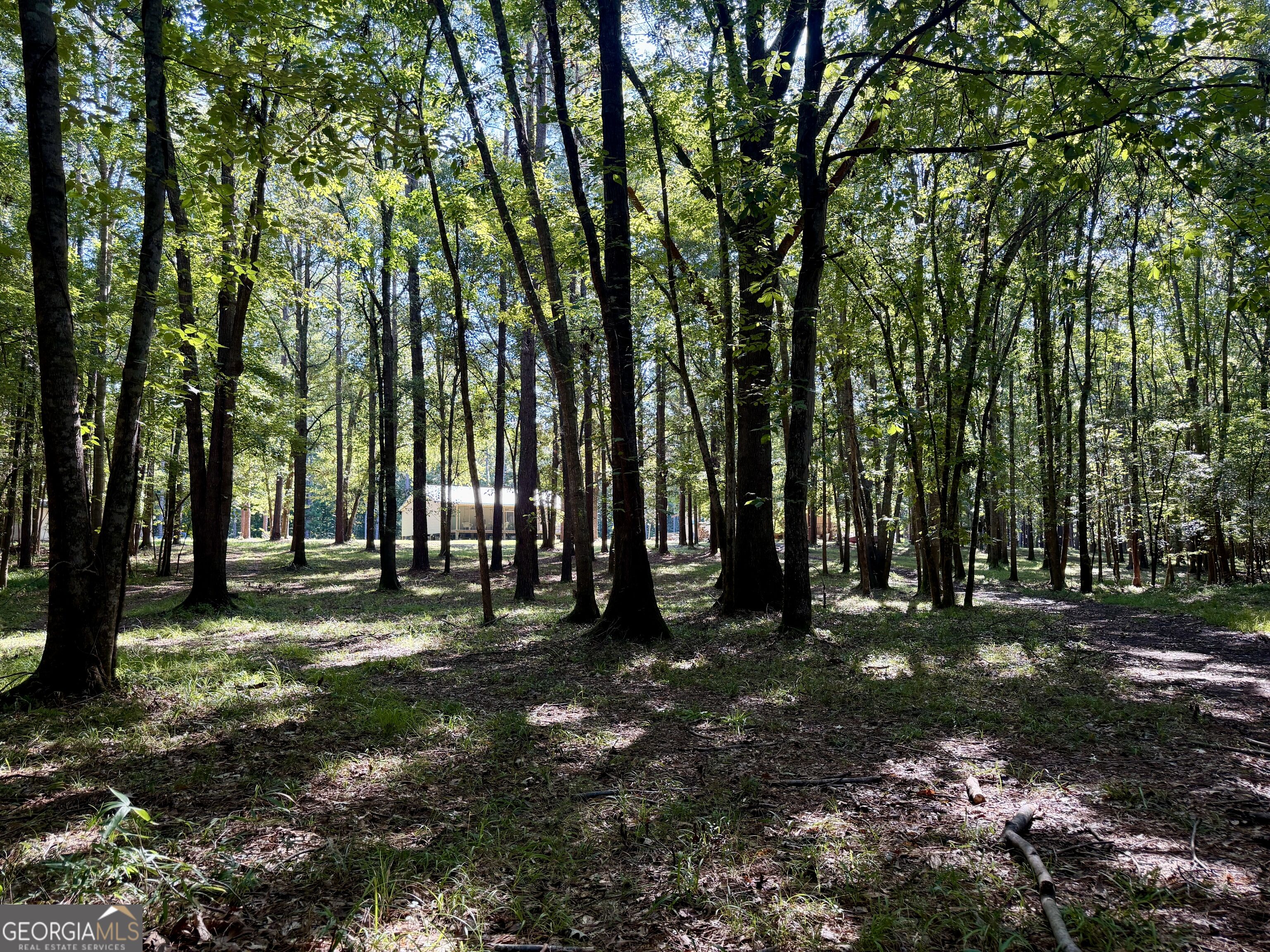 239 Coleman Landing Road Property Photo 35