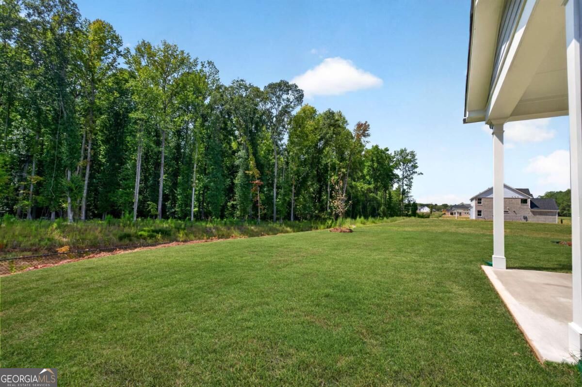 4543 Mary Ruth Way Property Photo 70