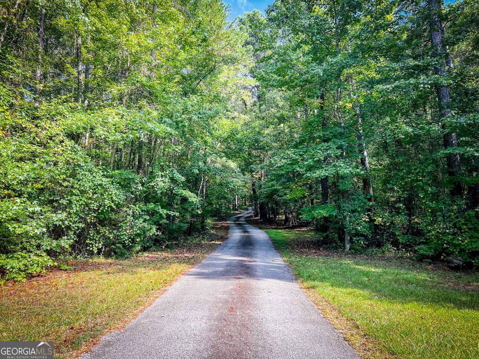 1371 Pickett Bridge Road Property Photo 38