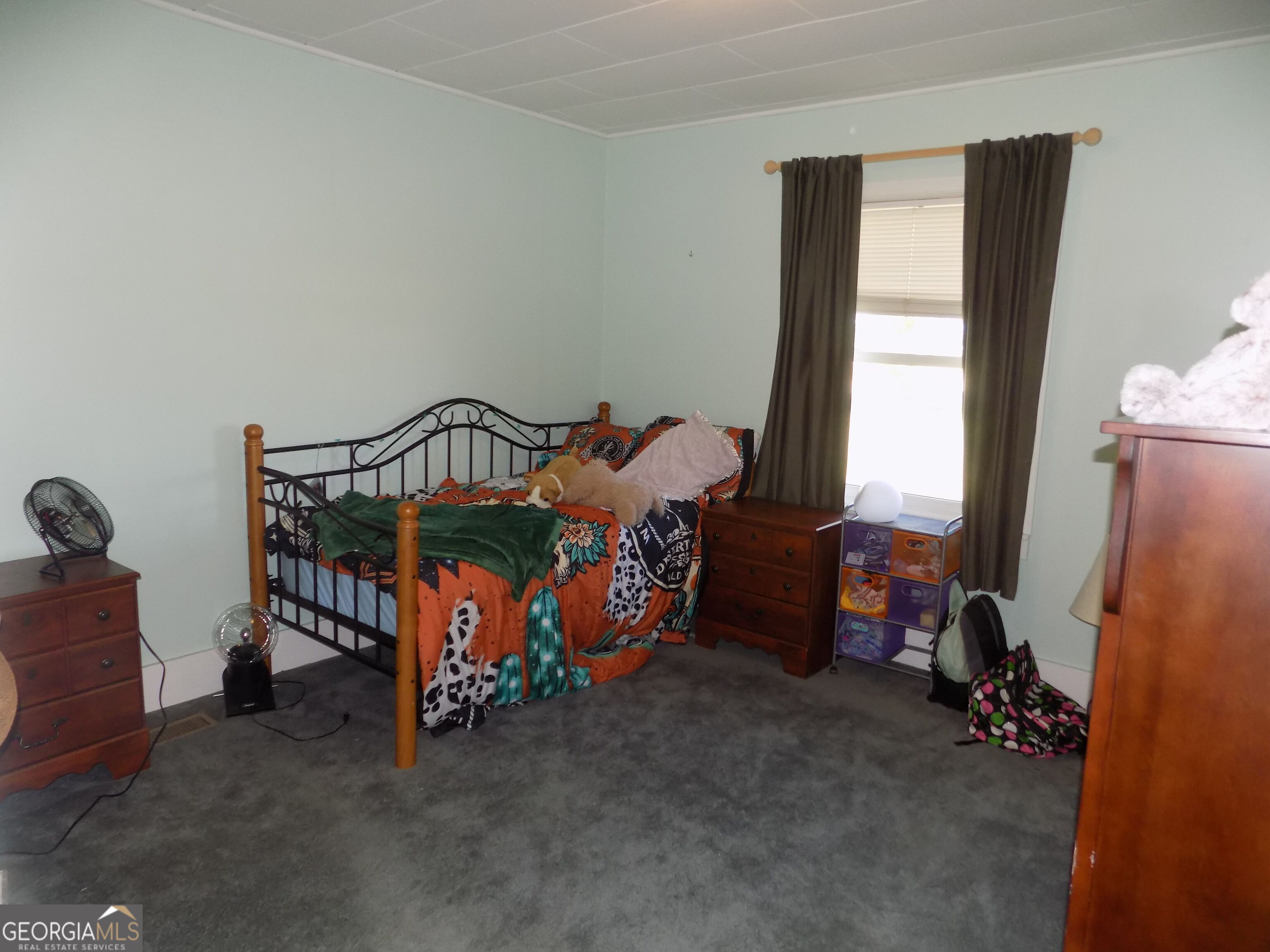 11840 Ga Highway 231 Property Photo 21