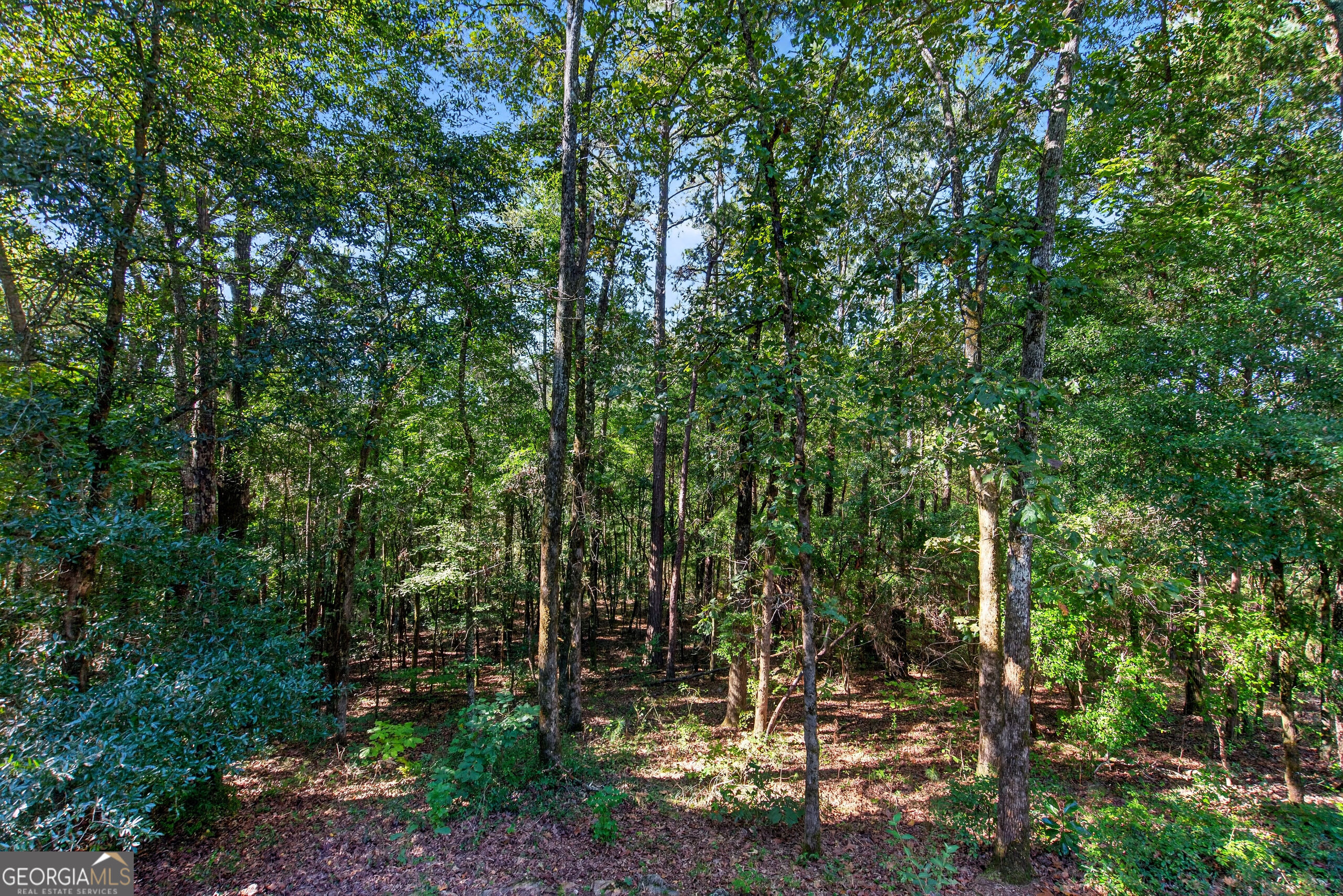 1942 Salem Road Property Photo 28
