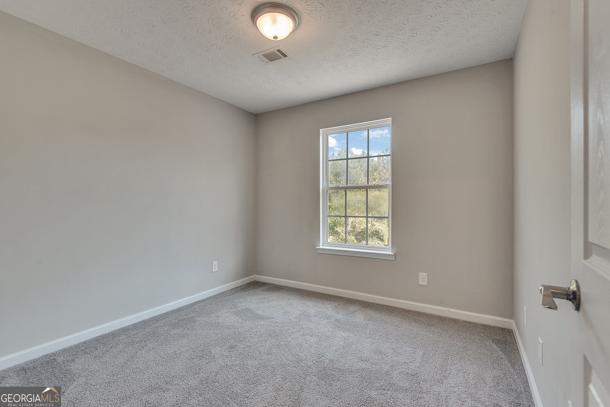 4390 Telida Trail Property Photo 22