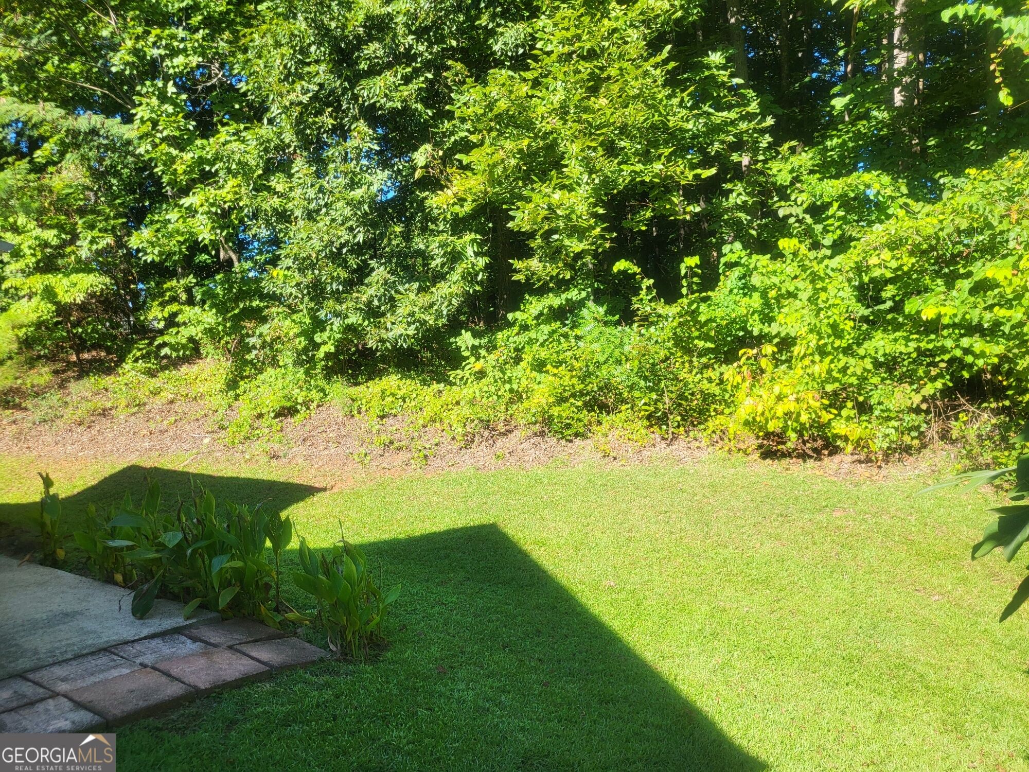 2415 Lismore Drive Property Photo 36