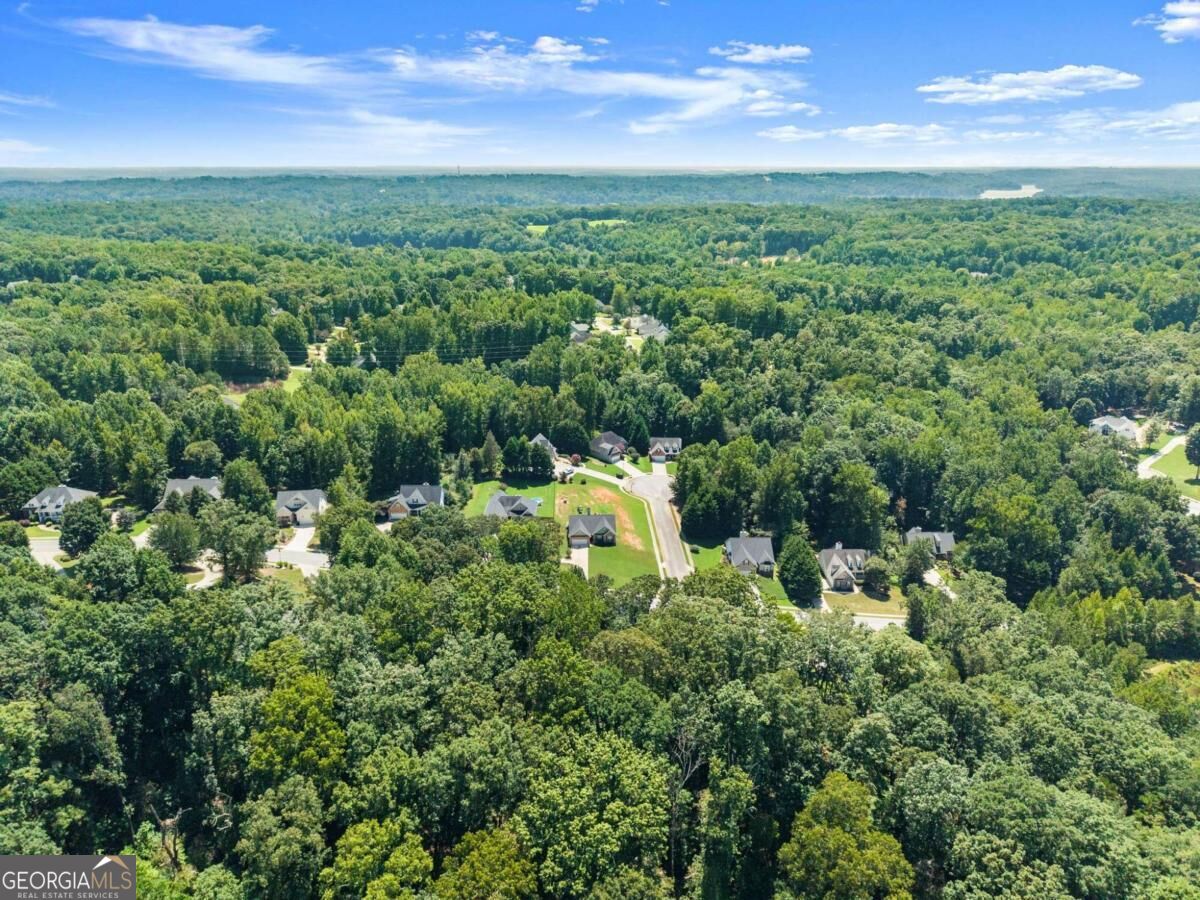 4522 Old Princeton Ridge Property Photo 8